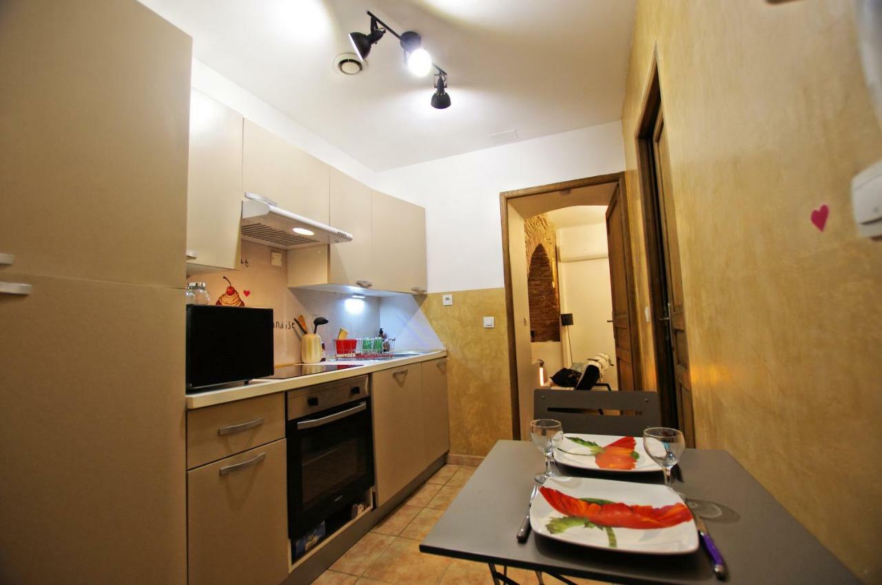 Le Pialou Apartment Albi Exterior photo